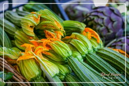 Campo dei Fiori (36) Markt - Zucchini