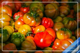 Campo dei Fiori (37) Markt - Pomdori