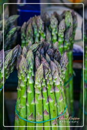 Campo dei Fiori (38) Markt - Asparagi verdi