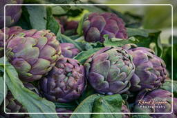 Campo dei Fiori (40) Mercado - Alcachofras