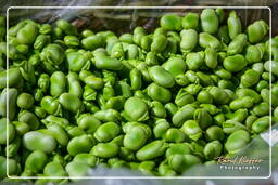 Market, Campo dei Fiori (46)