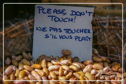 Campo dei Fiori (48) Marché