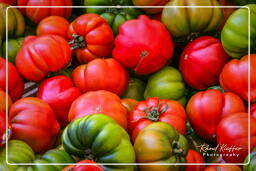 Campo dei Fiori (50) Mercado - Pomdori