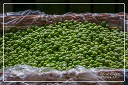 Campo dei Fiori (52) Marché