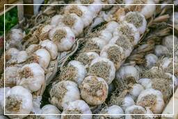 Campo dei Fiori (54) Market - Garlic