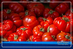 Campo dei Fiori (60) Markt - Pomdori