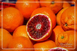 Campo dei Fiori (61) Mercado - Naranjas