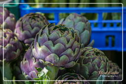 Campo dei Fiori (62) Mercado - Alcachofras