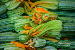 Market - Zucchini, Campo dei Fiori (63)