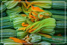 Campo dei Fiori (63) Markt - Zucchini