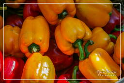 Campo dei Fiori (69) Mercado - Pimentas