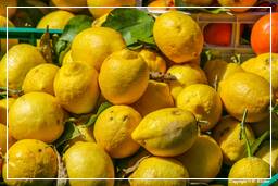 Campo dei Fiori (70) Market - Lemons