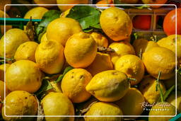 Market - Lemons, Campo dei Fiori (70)