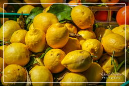 Campo dei Fiori (70) Mercato - Limoni