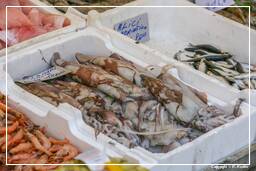 Campo dei Fiori (72) Markt - Tintenfische