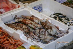 Campo dei Fiori (72) Mercado - Calamares