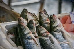 Campo dei Fiori (73) Markt - Fische