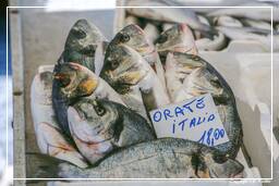 Campo dei Fiori (74) Market - Fishes