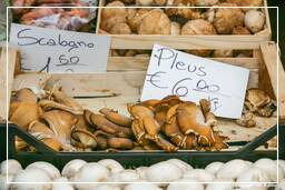 Campo dei Fiori (75) Mercado - Cogumelos ostra