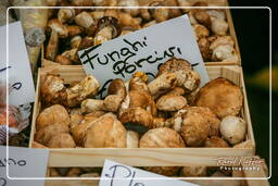 Campo dei Fiori (76) Mercado - Boletus