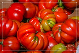 Campo dei Fiori (83) Marché - Pomdori