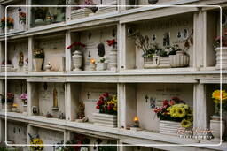 Cimitero Comunale Monumentale Campo Verano (6)