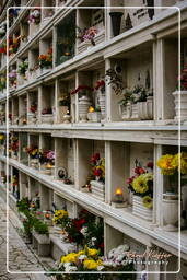 Cementerio Comunal Monumental Campo Verano (7)