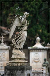 Cimitero Comunale Monumentale Campo Verano (21)