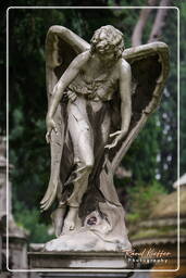 Cimitero Comunale Monumentale Campo Verano (37)