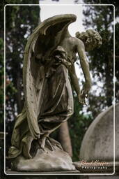 Cimitero Comunale Monumentale Campo Verano (38)