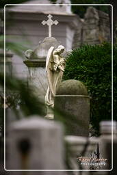 Cemetery Campo Verano (40)