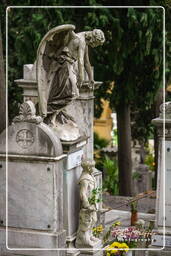 Cimetière Communal Monumental de Campo Verano (51)