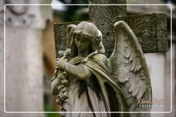 Cimitero Comunale Monumentale Campo Verano (54)