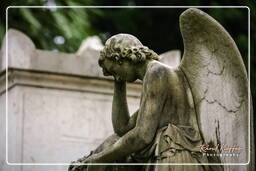 Cimitero Comunale Monumentale Campo Verano (57)