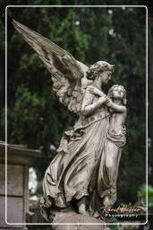 Cementerio Comunal Monumental Campo Verano (65)