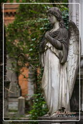 Cimitero Comunale Monumentale Campo Verano (73)