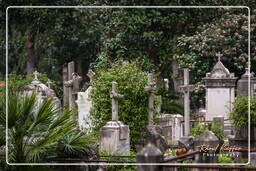 Cimetière Communal Monumental de Campo Verano (75)