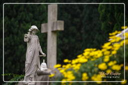 Cimetière Communal Monumental de Campo Verano (78)