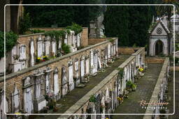 Cimetière Communal Monumental de Campo Verano (84)