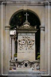 Cemetery Campo Verano (85)