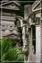 Cimitero Comunale Monumentale Campo Verano (86)