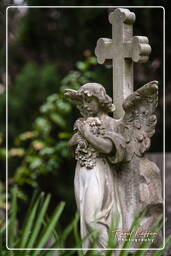 Cimitero Comunale Monumentale Campo Verano (87)