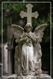 Cimitero Comunale Monumentale Campo Verano (89)