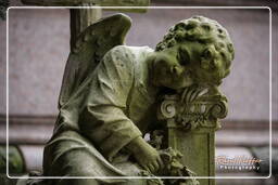 Cimitero Comunale Monumentale Campo Verano (90)