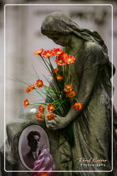 Cimitero Comunale Monumentale Campo Verano (91)