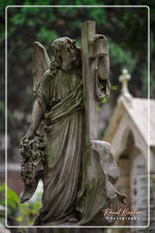 Cimitero Comunale Monumentale Campo Verano (95)