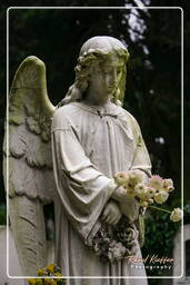 Cimitero Comunale Monumentale Campo Verano (96)