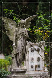 Friedhof Campo Verano (97)