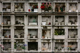 Cimetière Communal Monumental de Campo Verano (99)