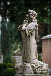 Cimitero Comunale Monumentale Campo Verano (105)